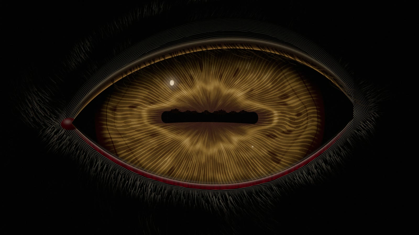 An engraved goat's eye with a horizontal pupil opening in the dark